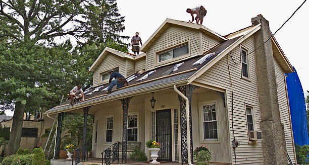 Best Roof Gutter Cleaning  in Polk City, FL