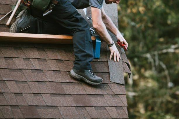 Best New Roof Installation  in Polk City, FL